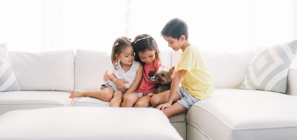 best upholstery fabric for pets and kids